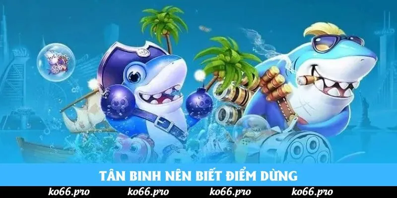 Tân binh nên biết điểm dừng Tân binh nên biết điểm dừng
