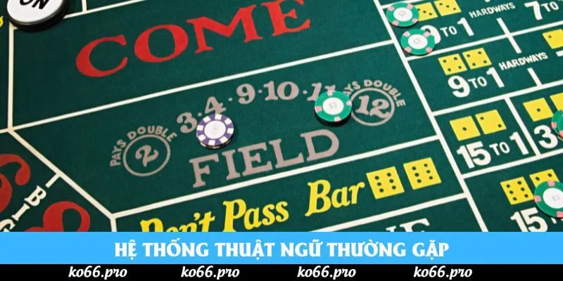 Hệ thống thuật ngữ thường gặp