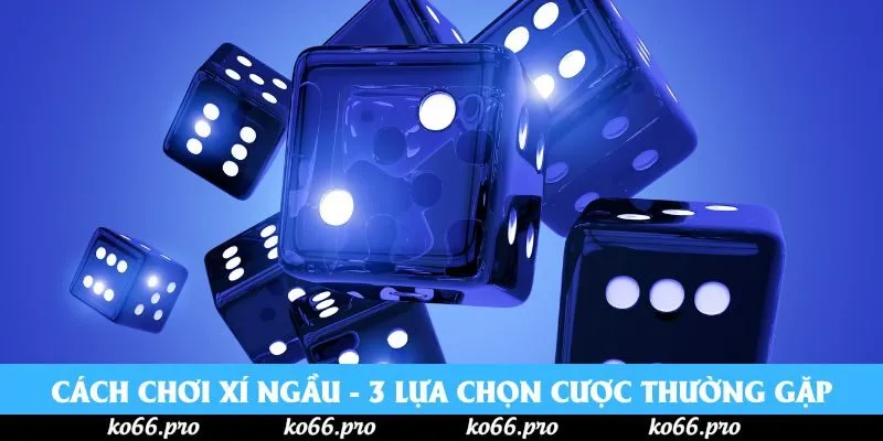 Cách Chơi Xí Ngầu - 3 Lựa Chọn Cược Thường Gặp Nhất