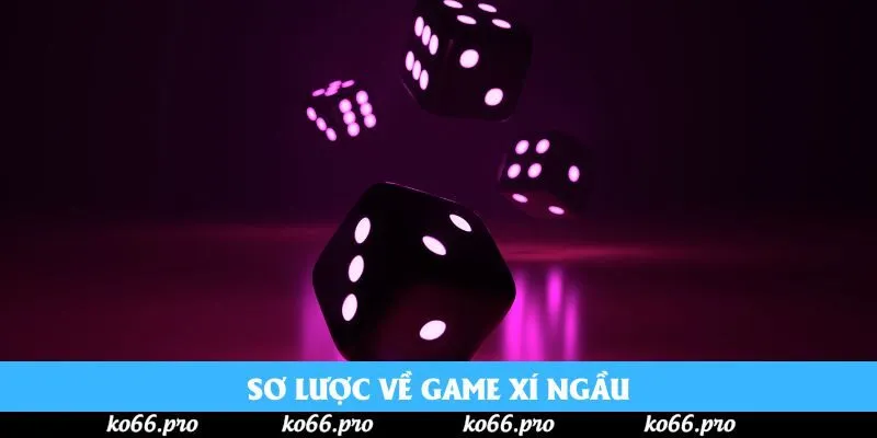 Sơ lược về game xí ngầu