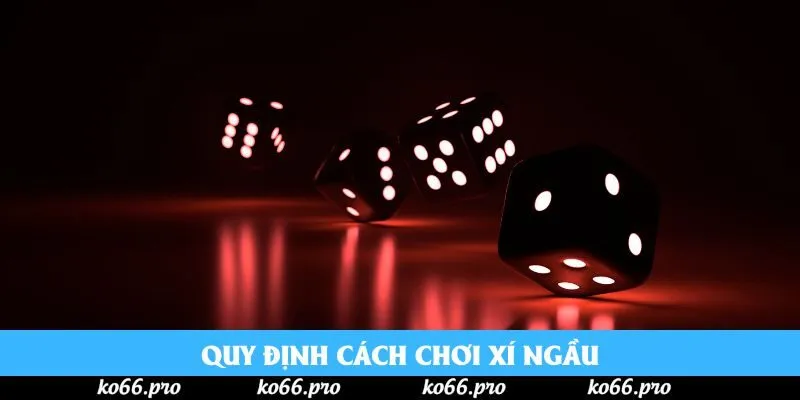 Quy định cách chơi xí ngầu
