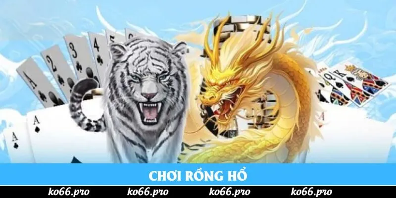 Chơi Rồng Hổ - Nguyên Tắc Tham Gia Chính Xác Tại KO66