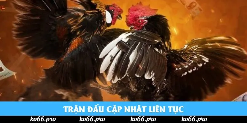 Trận đấu cập nhật liên tục