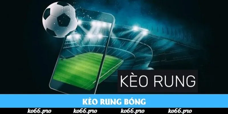 Kèo Rung Bóng | Kinh Nghiệm Nhồi Rung Hay Trong Năm 2025