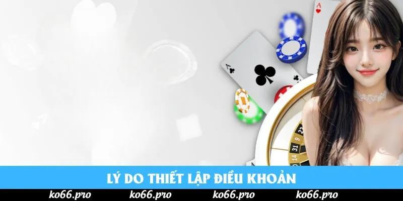 Lý do thiết lập điều khoản