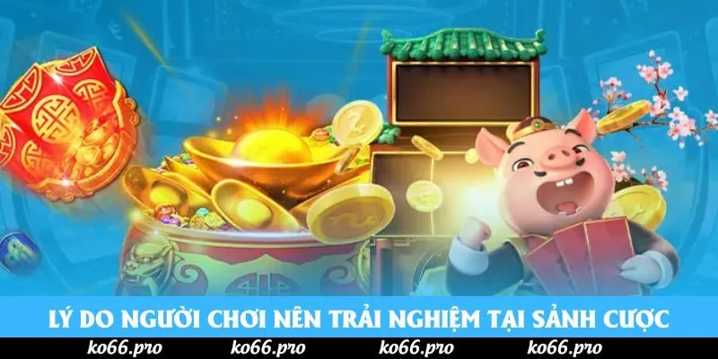 Lý do người chơi nên trải nghiệm tại sảnh cược