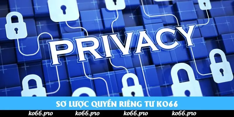 Sơ lược quyền riêng tư ko66