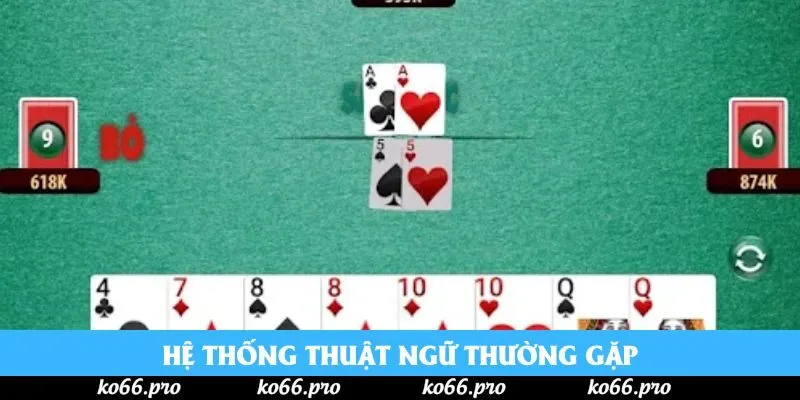 Hệ thống thuật ngữ thường gặp