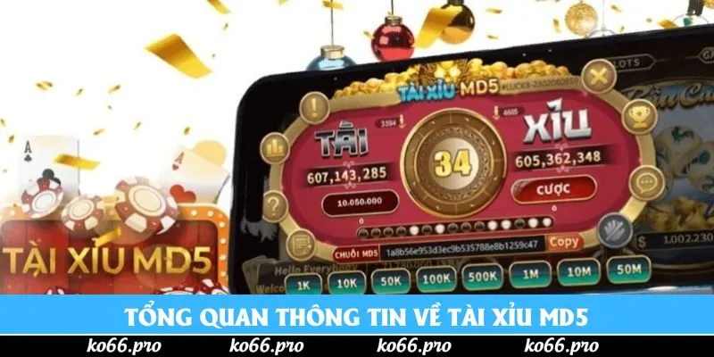 Tổng quan thông tin về Tài xỉu MD5