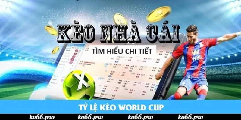 Tỷ lệ kèo World Cup | Đặc điểm người chơi cần biết năm 2025